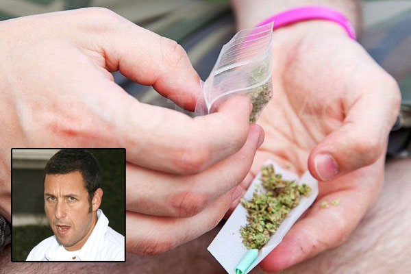 Young cannabis smokers run risk of finding Adam Sandler films funny, report  warns