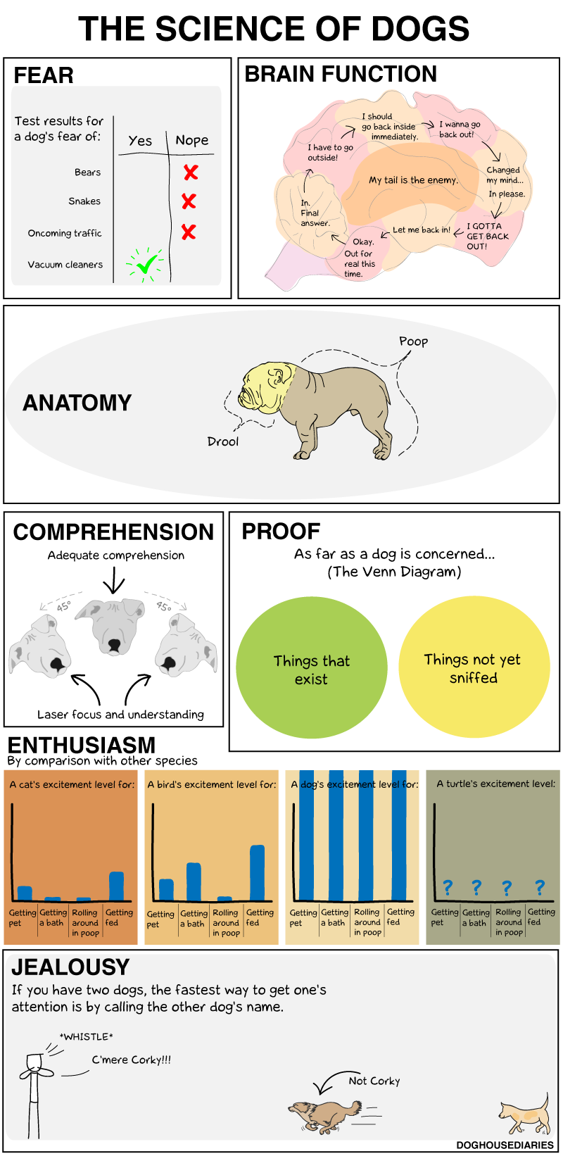 The Science Of Dogs [infographic] - The Poke