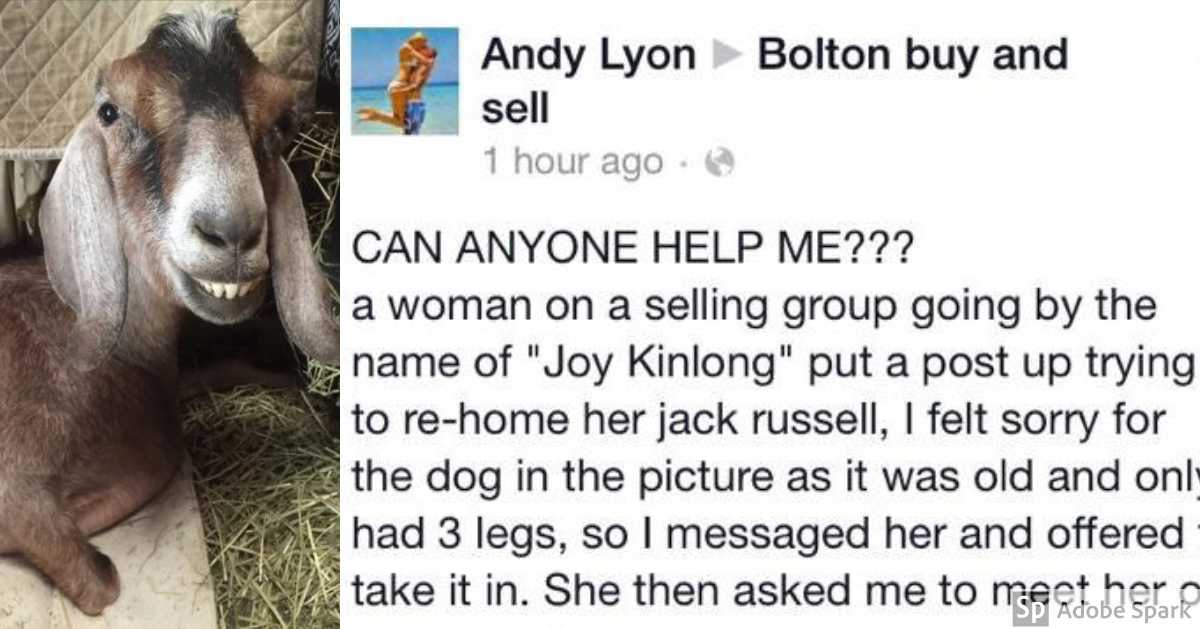 The best Facebook status ever? Probably... The Poke