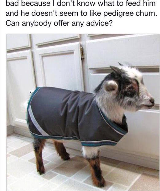 The best Facebook status ever? Probably... The Poke