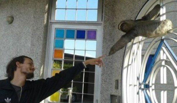 Michelangelo's Creation of Adam, with a sloth - The Poke
