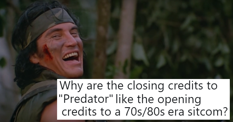 predator - The Poke - The Poke