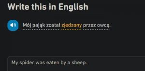 18 of the best - or worst - hilariously weird sentences from Duolingo