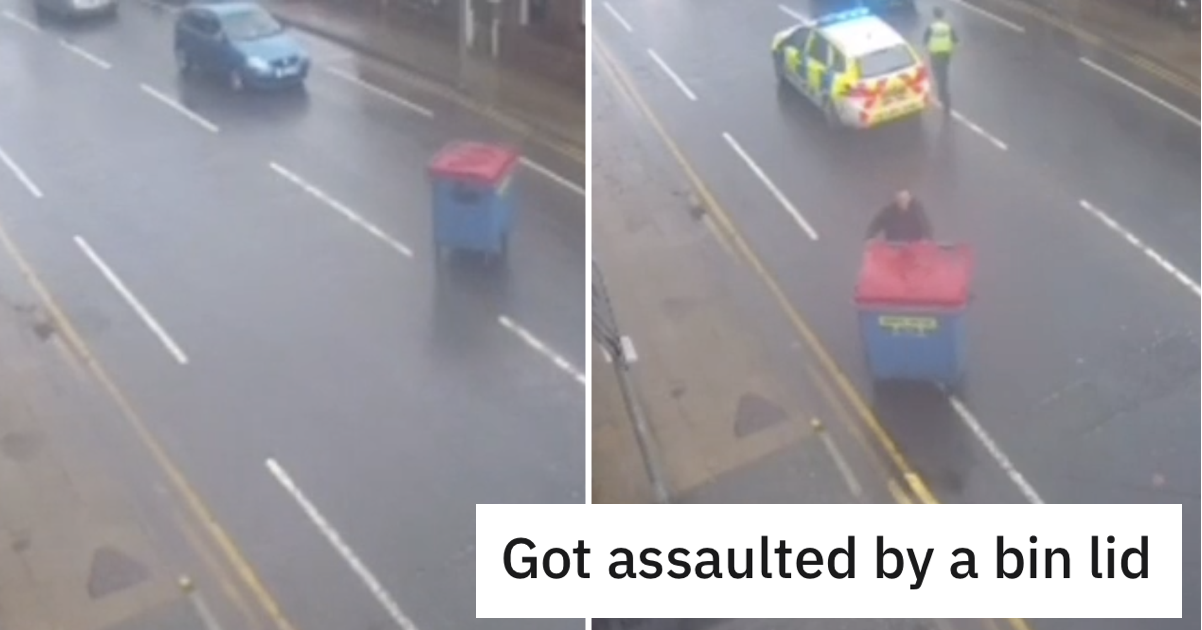 The video of this random bin attack just gets better and better - The Poke
