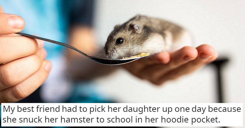 What's the funniest reason you've been called to pick your child up ...