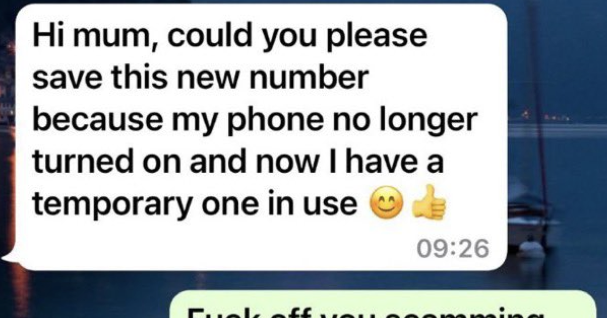 This super sleuthing mum’s skewering of a scammer was the funniest and most NSFW takedown of the year