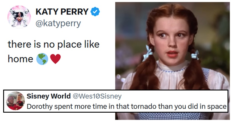 15 favourite funny reactions to Katy Perry's Dorothyesque down-to-earth statement