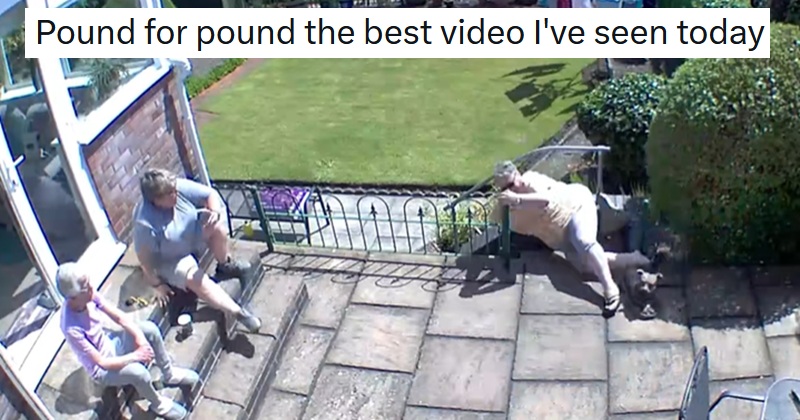 We'll never stop feeling bad for laughing at this spectacular fall video, but we can't stop ourselves