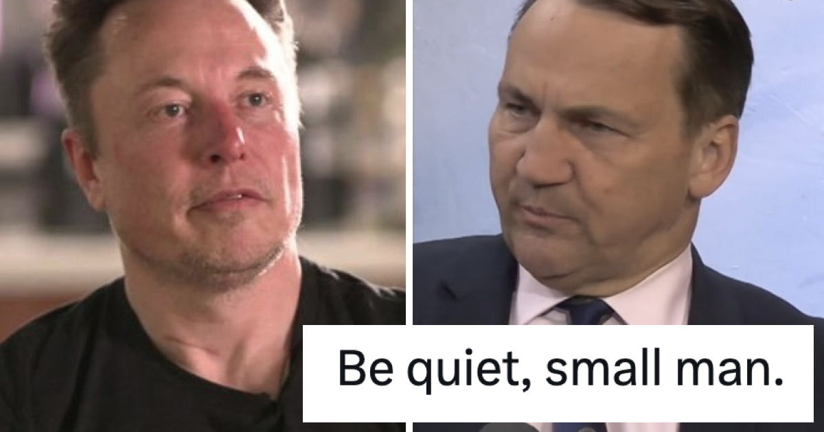 Poland's foreign minister just brutally took down Elon Musk three months after he called him a 'small man' and it was just magnificent