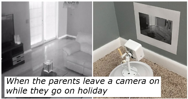 Trying to beat the system? Here are 22 times someone else managed it with style