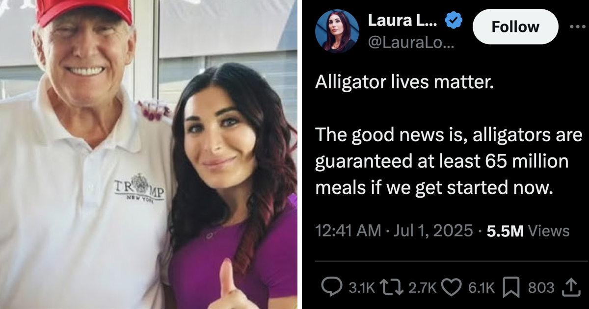 A Maga mocked detainees headed for 'Alligator Alcatraz' and this A++ comeback totally nailed the state of Donald Trump's USA right now