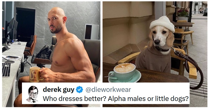 Which is the most stylish - little dogs or so-called Alpha males? No prizes for guessing the answer