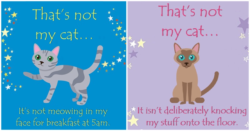 That’s not my cat… A parody based on the ‘That’s not my’ series