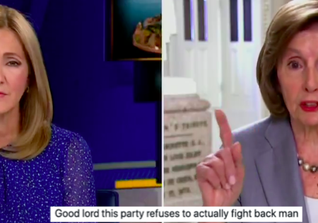 Nancy Pelosi talks herself out of an easy win on the Epstein files and these 17 exasperated responses surely say it all