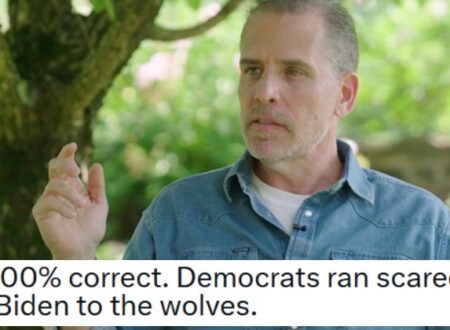 Hunter Biden unleashed a NSFW rant condemning his dad getting booted out of the race in 2024, and a lot of Twitter is right there with him
