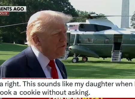 ‘Somebody could’ve written a letter and used my name’ – Donald Trump ducked a question about his birthday letter to Epstein and Twitter pounced – 17 sceptical takedowns