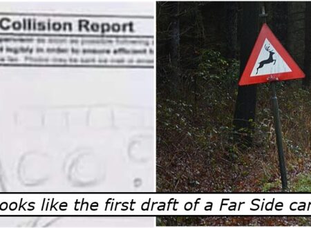 You can write a long, detailed accident report – or you can do this