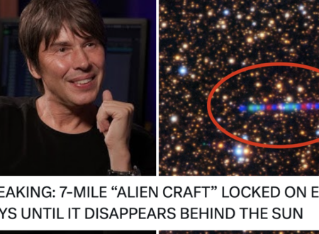 There’s a ‘7-mile alien craft’ heading towards Earth and of all the responses Professor Brian Cox’s A++ comeback was out of this world
