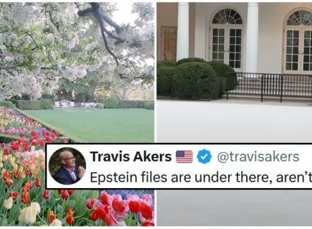 19 favourite withering reviews of Trump’s soulless concrete ‘makeover’ of the White House Rose Garden
