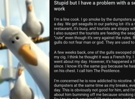 This hilarious tale of a chef constantly being bothered by a seagull nicknamed ‘The Pestilence’ is one for the ages