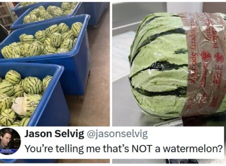 Crime doesn’t pay – especially if you do it like these smugglers who failed Watermelon 101