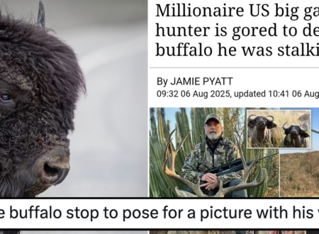 A millionaire trophy hunter was gored to death by a buffalo and the internet wasn’t exactly sympathetic