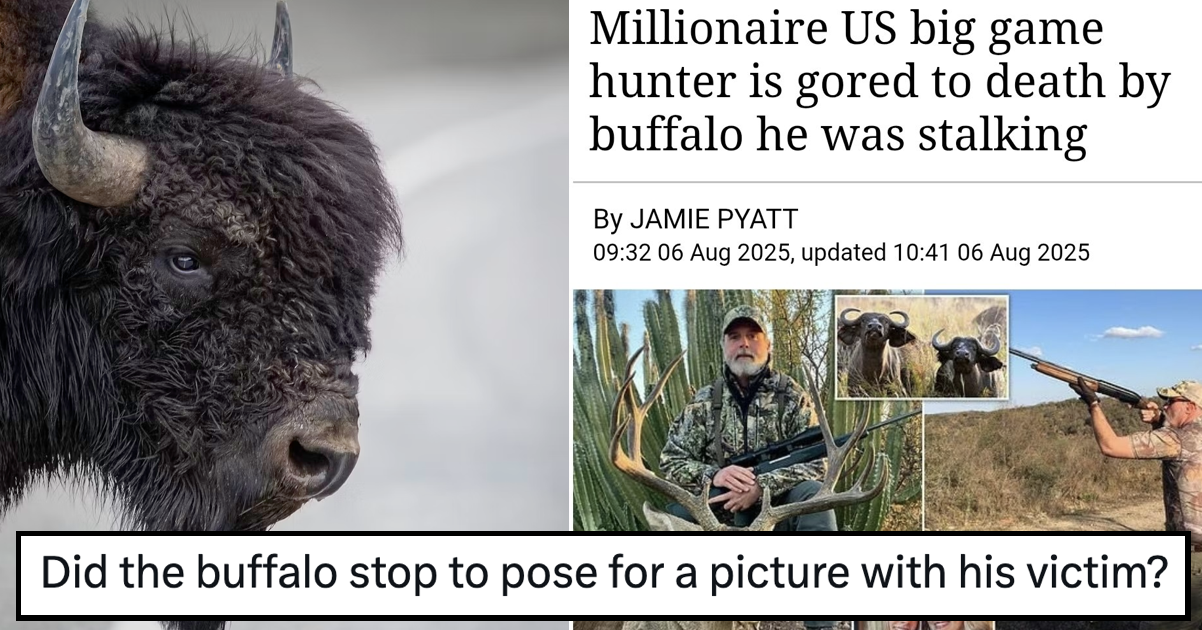 A millionaire trophy hunter was gored to death by a buffalo and the internet wasn't exactly sympathetic