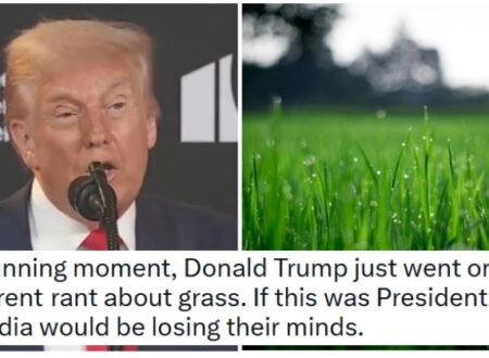 18 savage side-eyes at Donald Trump’s weird rambling announcement about replacing the ‘exhausted’ grass in Washington DC