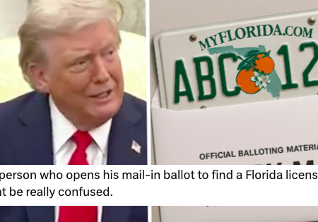 Donald Trump thinks you have to bring your licence plate to vote – these 17 A++ responses have totally got his number