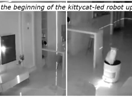 Cat plus robotic air pu(r)rifier makes for eerie paw-anormal activity in the night