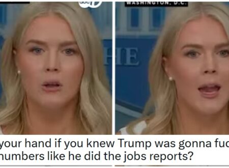 15 utterly unsurprised reactions to Karoline Leavitt casually dropping that the White House “reconfigured” the DC crime stats to justify sending in the National Guard