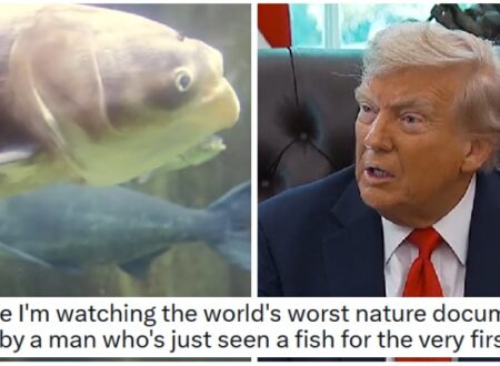 Forget sharks and windmills – Captain Cognition has been wanging on about dangerous fish from China