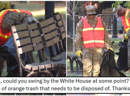 Trump put the National Guard on the streets of DC to control crime, but it’s already at a 40-year low so they’re picking up litter – 15 weary facepalms