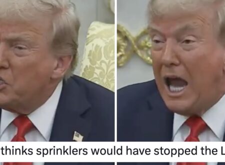 Donald Trump said garden sprinklers would have stopped the devastating California wild fires and ended up savagely burned – 15 sizzling smackdowns