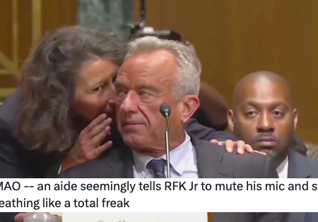 Robert F Kennedy’s utterly bizarre Senate appearance prompted no end of totally on-point mockery – make all these A++ responses avialable on prescription immediately