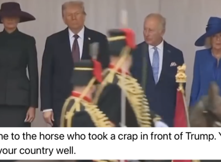 A horse took a dump in front of Donald Trump and finally we had something the whole of the country could cheer