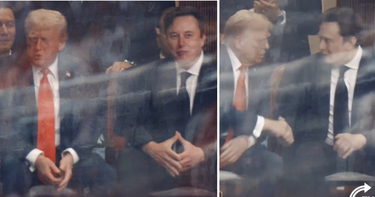 Donald Trump reunited with Elon Musk at Charlie Kirk’s memorial and it was the very opposite of heartwarming – 13 of the funniest and most brutal responses