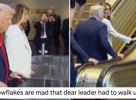 That Trump escalator fail was already good but the eye-bulging anger of these furious Magas took it to a whole new level