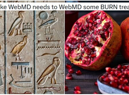 This scathing takedown of some utter BS about medicine in ancient Egypt was just what the doctor ordered