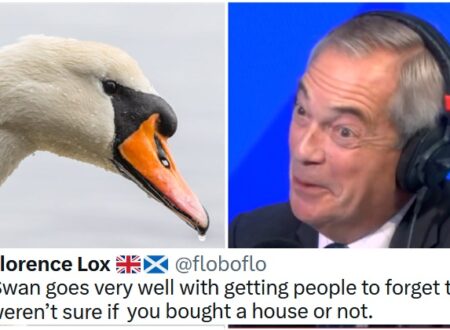 Nigel Farage has gone full Trump with a dog-whistling claim that immigrants are eating the swans – 15 scathing responses