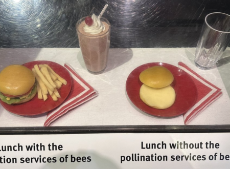 This eco-alert explainer for Americans went wildly viral for reasons which will presumably be obvious – 13 lip-smacking responses