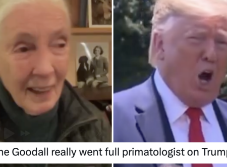 Jane Goodall’s A++ takedown of Donald Trump just went viral again for reasons which will become obvious