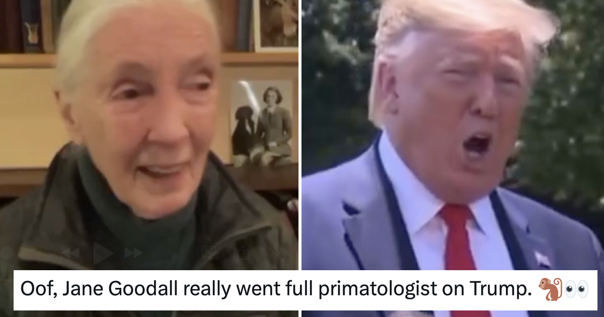 Jane Goodall's A++ takedown of Donald Trump just went viral again for reasons which will become obvious