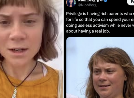 This ‘anti-woke’ troll’s takedown of Greta Thunberg wasn’t the slam-dunk they thought it was and this A++ comeback said it best