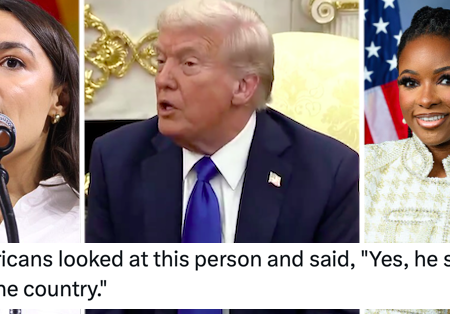 Donald Trump’s been lashing out at ‘low IQ’ Democrats over the government shutdown and the fact they’re all women isn’t the only thing they have in common – 17 totally on-point clapbacks