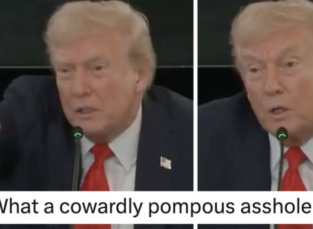 A CNN reporter tried to ask Donald Trump an actual question and his response is a terrifying snapshot of the state America finds itself in right now