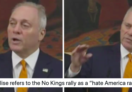 The Republican majority leader called No Kings protests a ‘hate America rally’ and out of all the spot-on responses, this one nailed the hypocrisy best