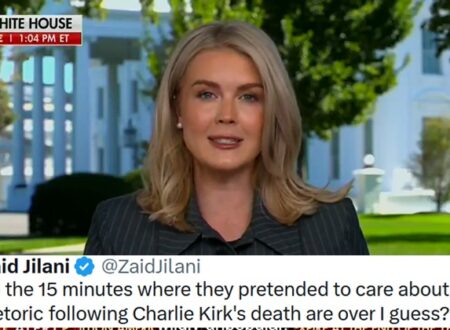 Karoline Leavitt has been dialling down the rhetoric again – this time by saying Democrat voters are ‘terrorists, illegal aliens and criminals’