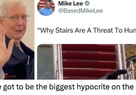 Republican senator Mike Lee condemned those laughing at Mitch McConnell falling over and was swamped by ‘This You?’ replies