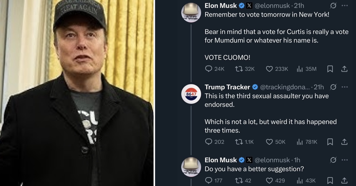 Elon Musk got the hump with someone who pointed out his weird voting track record and the comeback was a proper chef's kiss